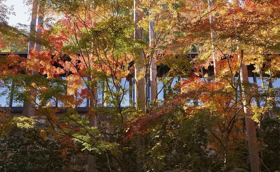 aman-kyoto-japan — dining