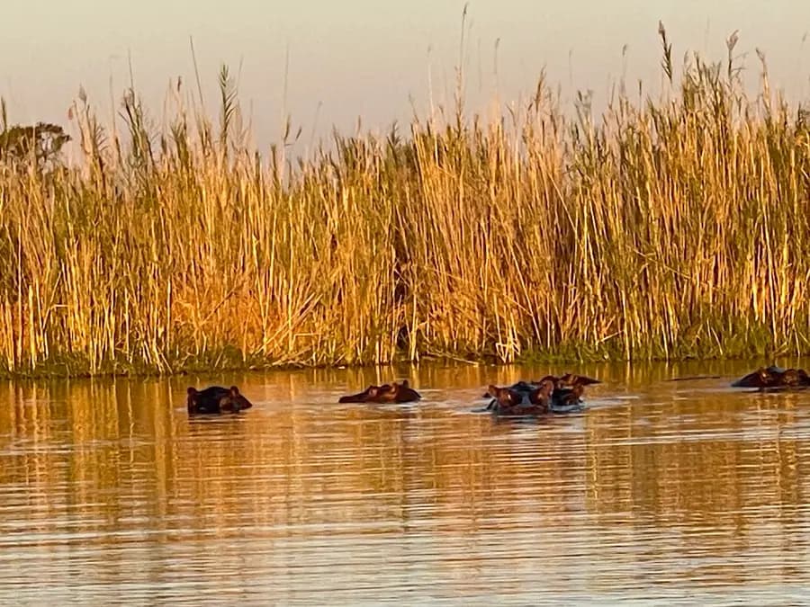jao-camp-okavango-botswana — spa