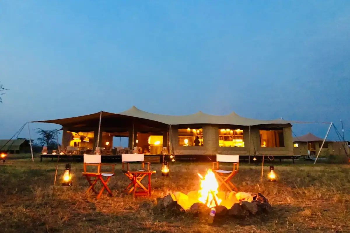 roving-bushtops-serengeti-tanzania — hero