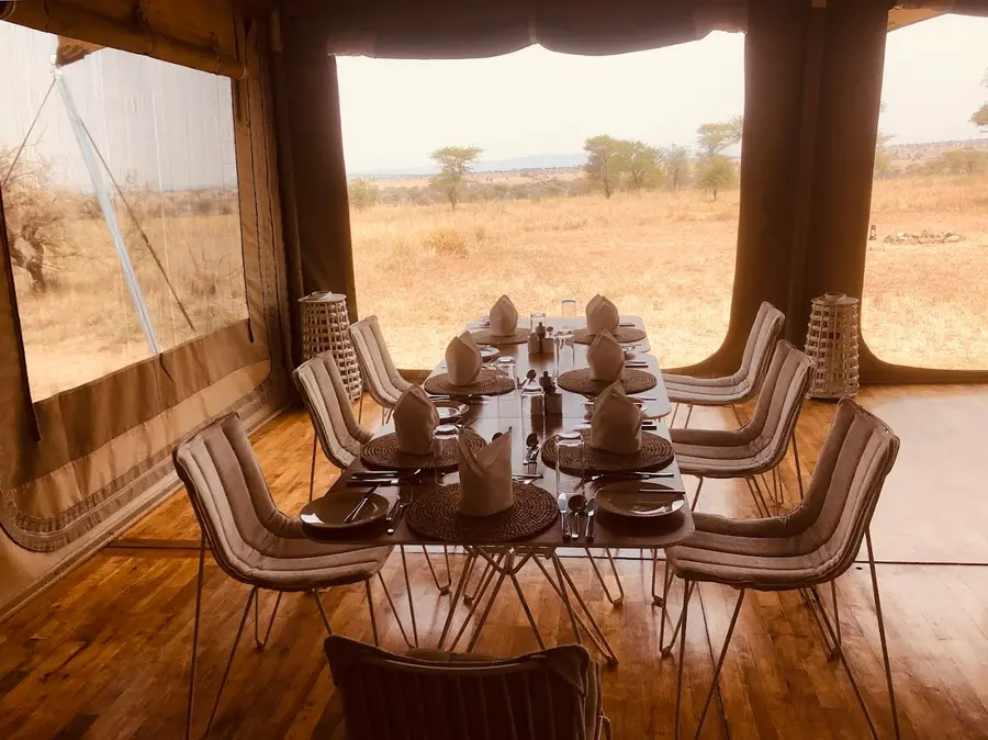 roving-bushtops-serengeti-tanzania — pool