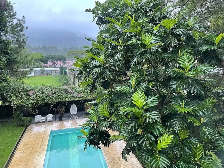 sandalwood-boutique-resort-sumba-indonesia — dining