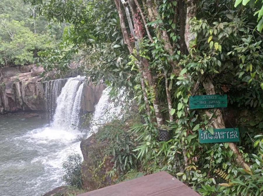 shinta-mani-wild-cambodia — room