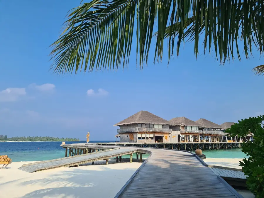 six-senses-laamu-maldives — dining