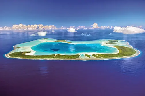 the-brando-tetiaroa-french-polynesia — room
