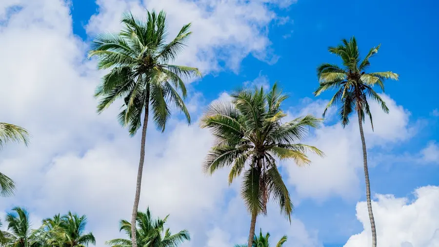 zawawi-retreat-pemba-island-tanzania — pool
