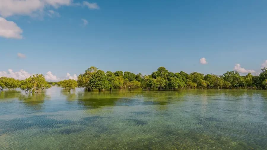 zawawi-retreat-pemba-island-tanzania — spa