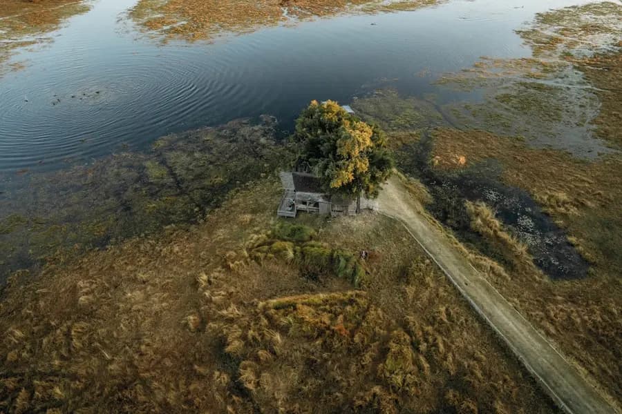 belmond-eagle-island-lodge-okavango-botswana — pool