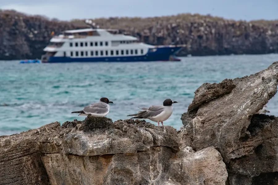ecoventura-origin-galapagos — room