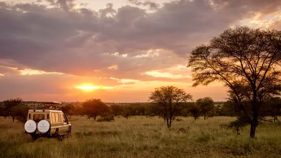 four-seasons-serengeti-tanzania — pool