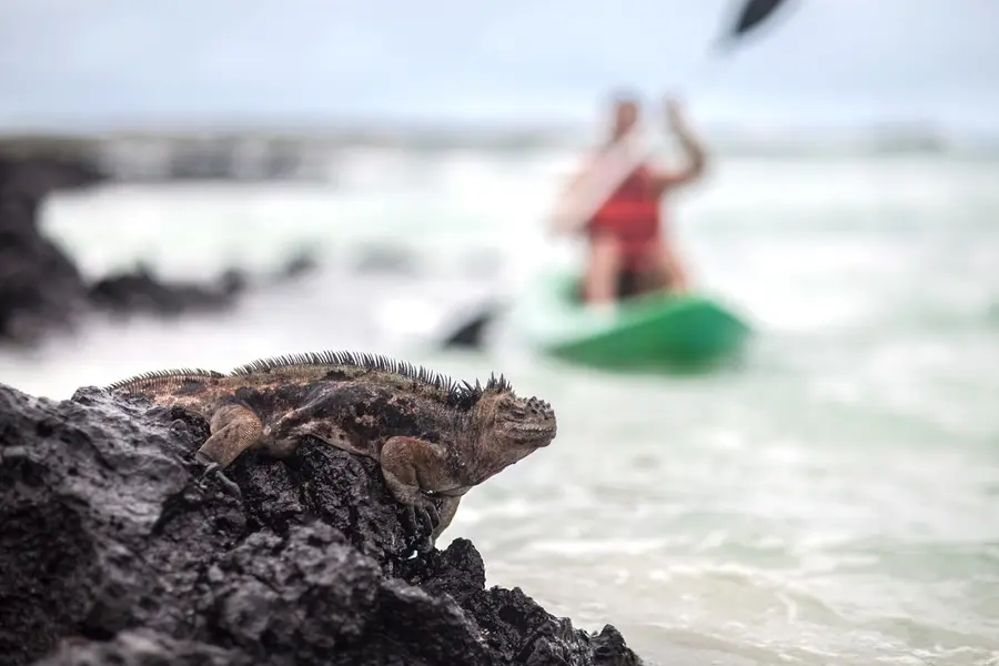 galapagos-safari-camp-galapagos — pool