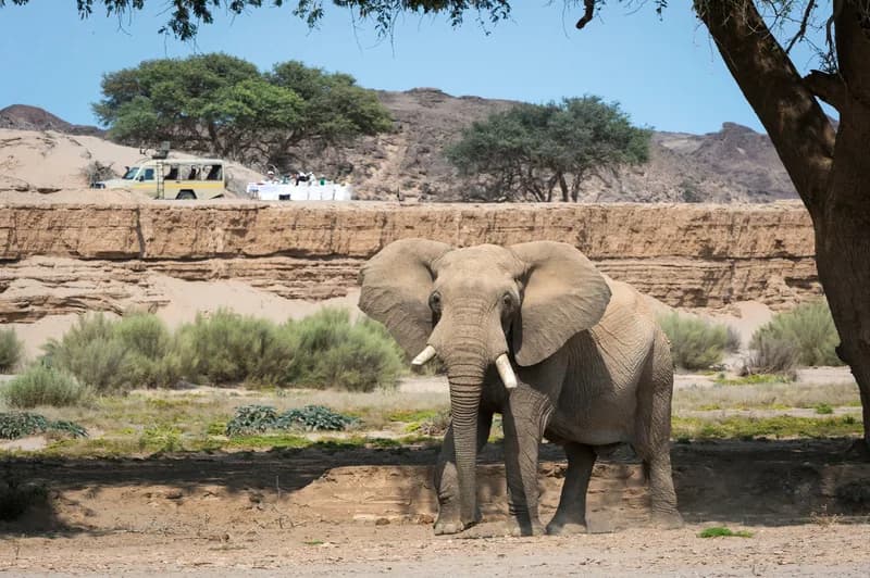Hoanib Skeleton Coast Camp