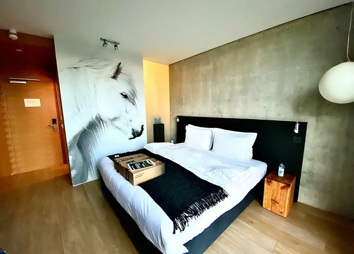 ion-adventure-hotel-nesjavellir-iceland — hero