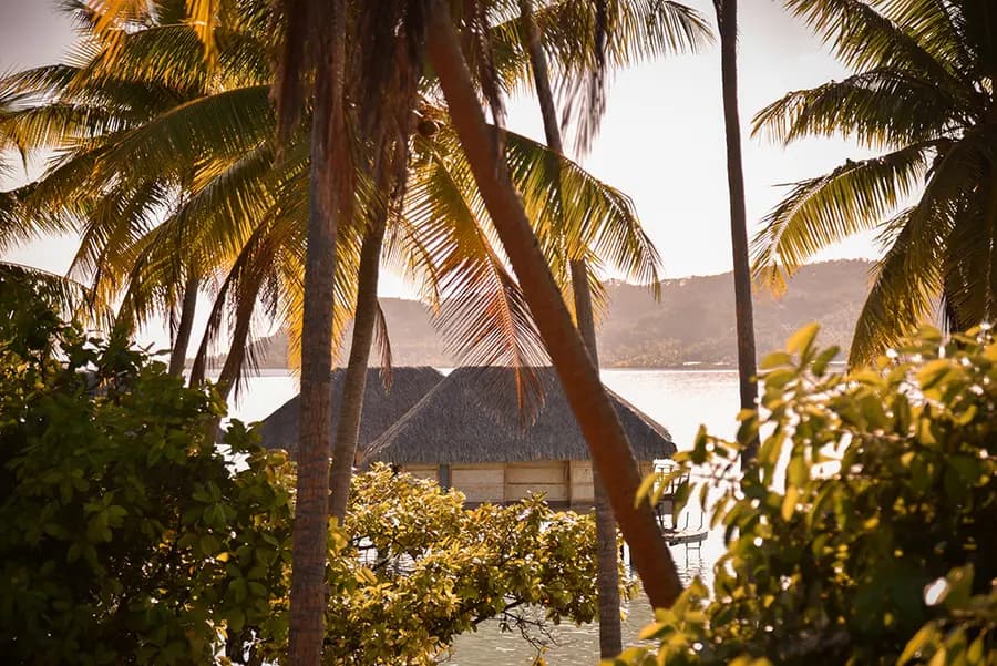 le-tahaa-island-resort-french-polynesia — dining