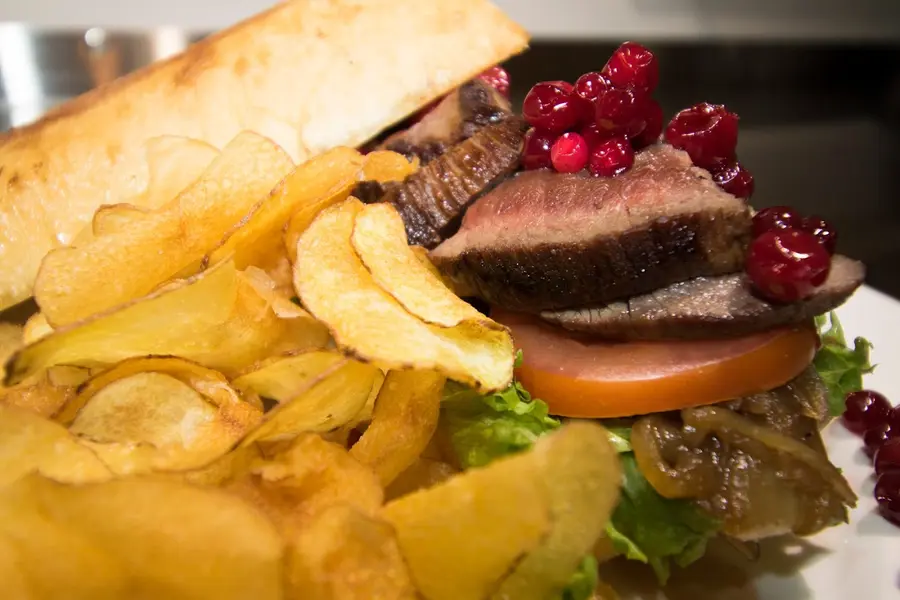 lyngen-north-glass-igloos-norway — dining