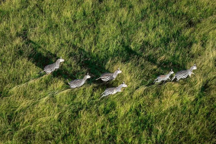 magashi-camp-akagera-rwanda — dining