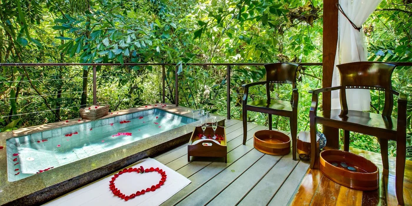 Nayara Springs
