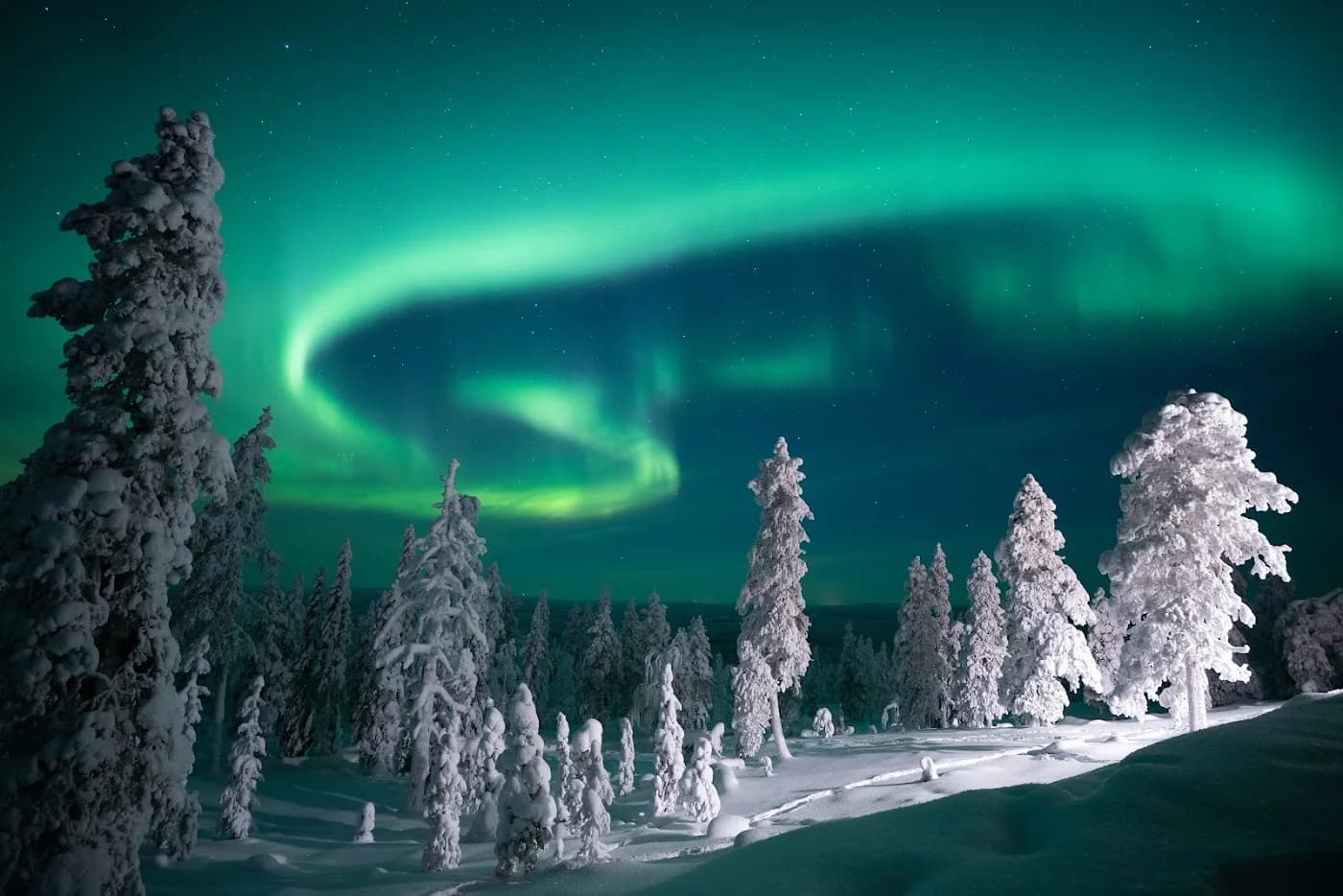 octola-wilderness-lodge-finland — hero