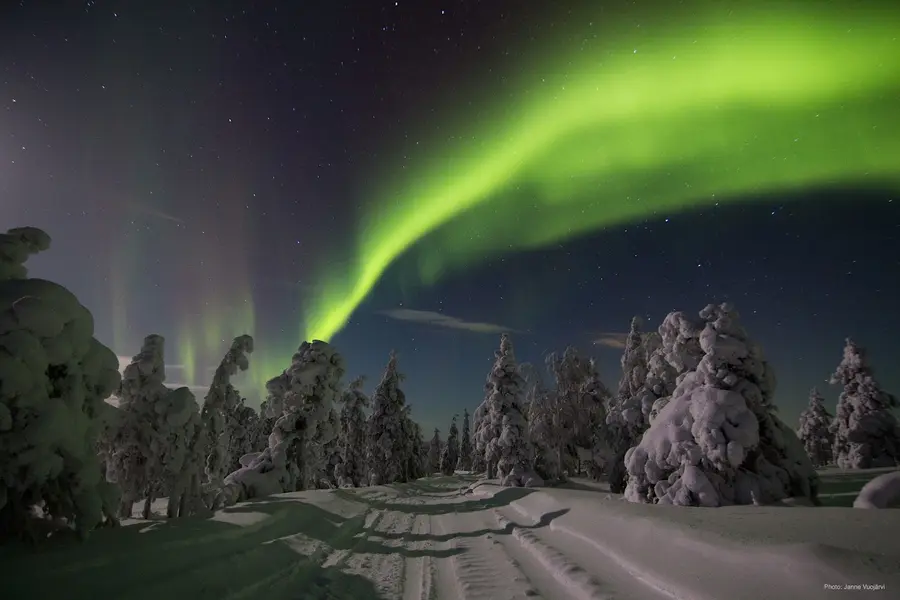 octola-wilderness-lodge-finland — room