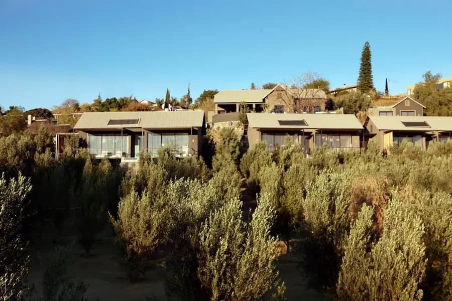 olive-exclusive-boutique-hotel-windhoek-namibia — dining