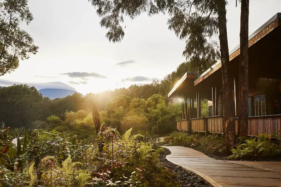 one-only-gorillas-nest-kinigi-rwanda — room