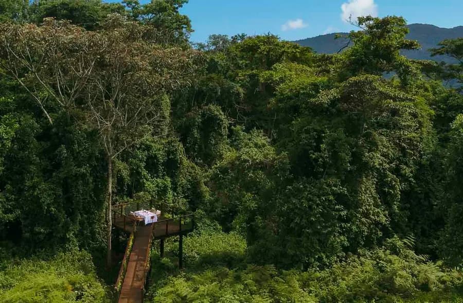 one-only-nyungwe-house-rwanda — pool