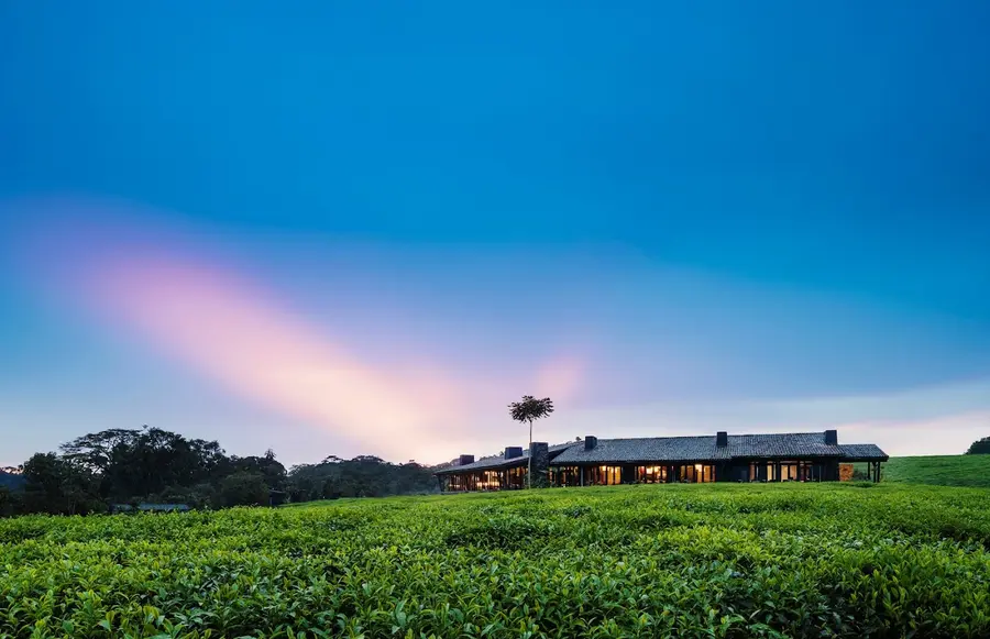 one-only-nyungwe-house-rwanda — room