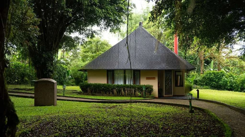 royal-palm-galapagos — hero