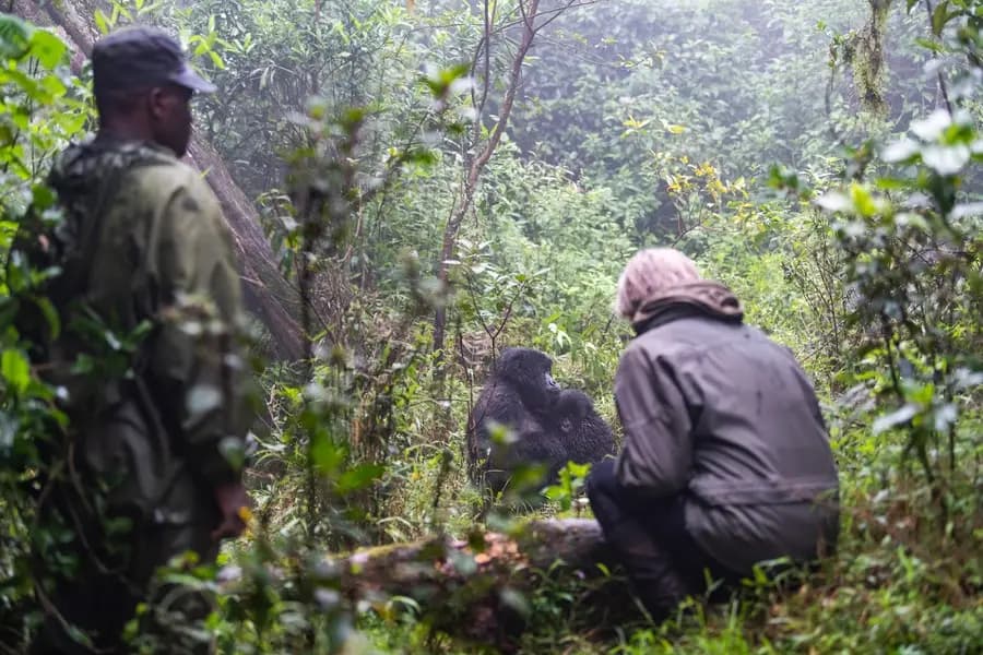 sabyinyo-silverback-lodge-rwanda — room