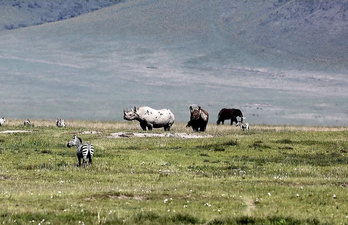 sanctuary-ngorongoro-crater-camp-tanzania — hero