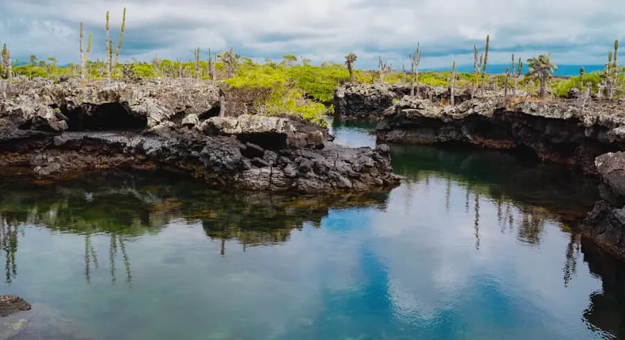 scalesia-galapagos-lodge-galapagos — spa