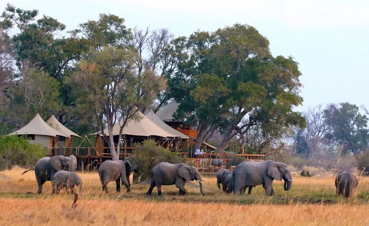 tuludi-khwai-private-reserve-botswana — hero