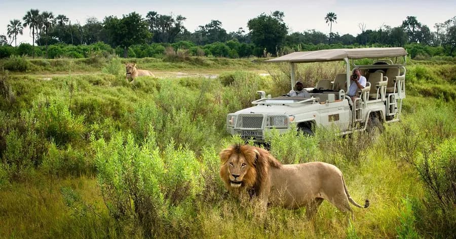 xigera-safari-lodge-moremi-botswana — room